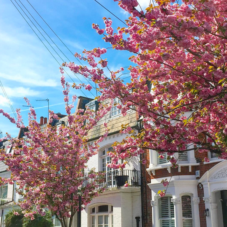 Schermata 2017-06-13 alle 02.30.10.png